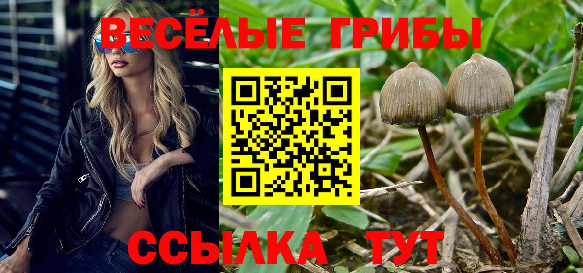 Галлюциногенные грибы Psilocybine cubensis  Вход с VPN  Лосино-Петровский 