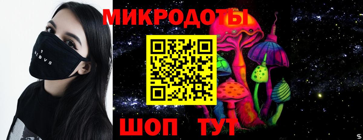 Псилоцибиновые грибы Psilocybe Лосино-Петровский